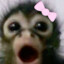 Sofy