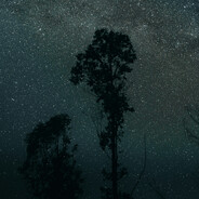 扣一野排变固排，扣二