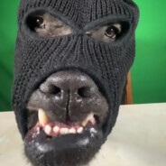 ¿Arise¿|DON`T STOP