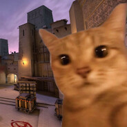 荒漠迷城白给猫