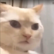 🗿⃤⃢🍷L0L!AN