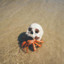 Skull Crab
