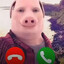 Piggod