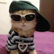 我是密客别打我飞机