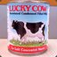 Lucky The Cow