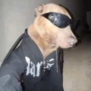 rotweiler do G20 ruthless
