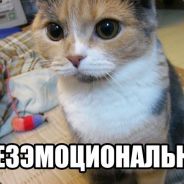 твой парень