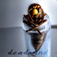 Тαηцγй κακ Кαδαη