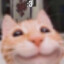 dxdws9