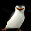 SKIPPER