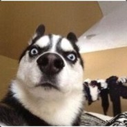 欲与天公试比骚