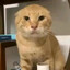 柏木エリ