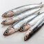 anchovies_in_ur_äss