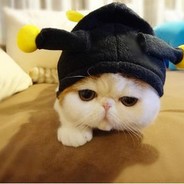 黑色玫瑰第一狱卒