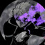 ✪ ExKai ツ