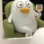 似雨