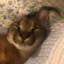 Goomby