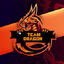 Team_Dragon granatchik