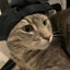 fewFPS