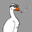 LooseGoose