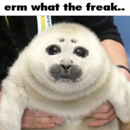 erm... what the freak