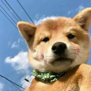 老登鬼火在楼下