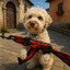 Buddy