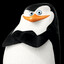 Skipper
