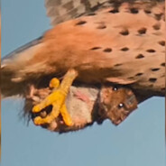 转生成莫桑比克又怎样