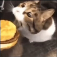 KittyCheeseBurger
