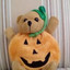 PumpkinBear111