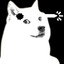 Xex