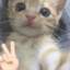 小逸