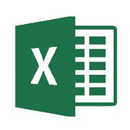 Microsoft Excel