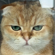 Капибарик - steam id 76561199804741924