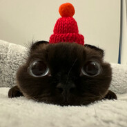 天下倒数第一喜欢你