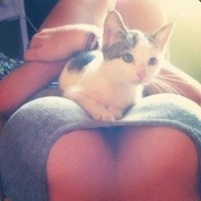 ✪ツ_ЌoŦîЌ_(Г•-•)Г