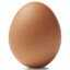 egg
