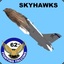 Skyhawks