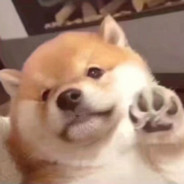 第一枪不是空了，而是告诉你我来了