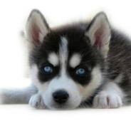 小姐姐我长得好看吧