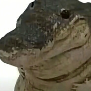 我是最神奇的鳄鱼