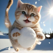 十三香真的太好了