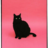 村委书记王大强