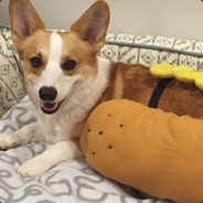 Nuclear Weasel - steam id 76561197960639901