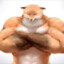 Some kind of fox