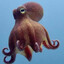 Spy In The Ocean