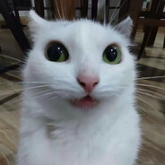 tvf's avatar
