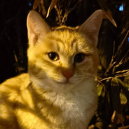 少麻少辣加香菜