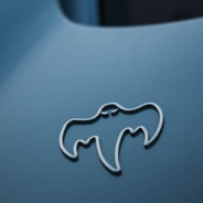 bog. steam account avatar